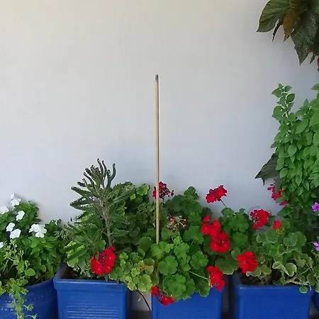 Apartamento Alexandros