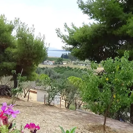Alexandros * Drepano (Argolis)