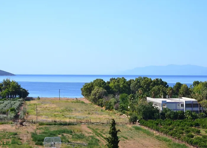 Alexandros Apartamento