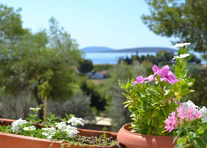 Alexandros Drepano (Argolis)