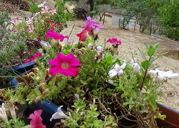 Apartamento Alexandros Drepano (Argolis)