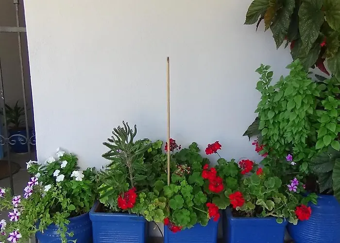 Apartamento Alexandros