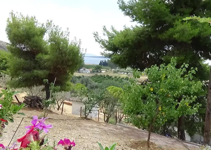 Alexandros * Drepano (Argolis)